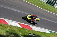 cadwell-no-limits-trackday;cadwell-park;cadwell-park-photographs;cadwell-trackday-photographs;enduro-digital-images;event-digital-images;eventdigitalimages;no-limits-trackdays;peter-wileman-photography;racing-digital-images;trackday-digital-images;trackday-photos